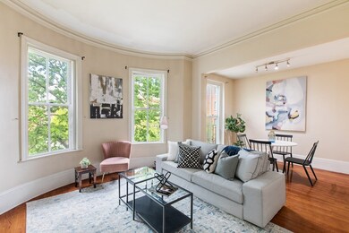 80 W Concord St unit 3, Boston, MA 02118 - photo 4