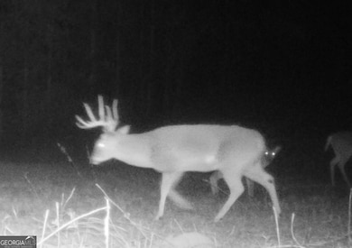 1075 Davis Rd, Carrollton, GA 30116 - photo 6