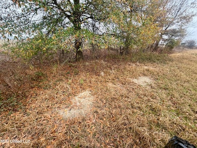0 Fairview Rd, Charleston, MS 38921 - photo 7
