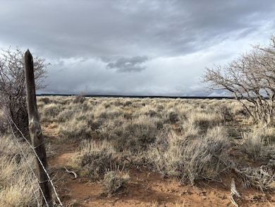 167 Gordon Reservoir, Monticello, UT 84535 - photo 3