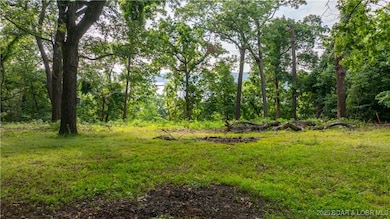 798 El Tampa Rd, Camdenton, MO 65020 - photo 7