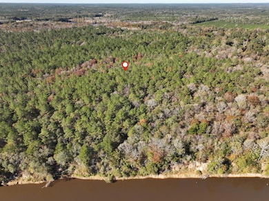 Old_Hwy_24_W_Lot_31-6