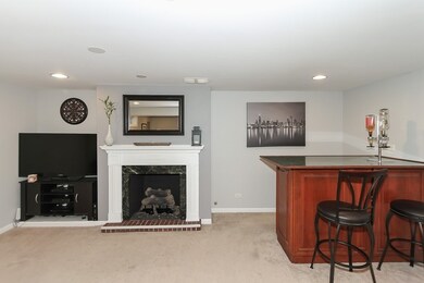 1317 S 2nd Ave, Des Plaines, IL 60018 - photo 3