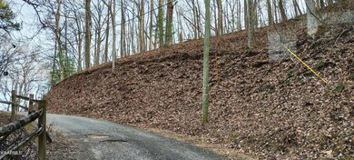 0 Emerald Springs Loop unit 1205247, Sevierville, TN 37862 - photo 3