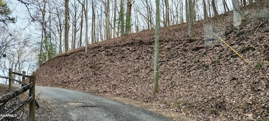 005 Parcel 40 Right Side Along Emerald S