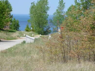 0 Main Dr unit Lot 13, Grand Beach, MI 49117 - photo 3