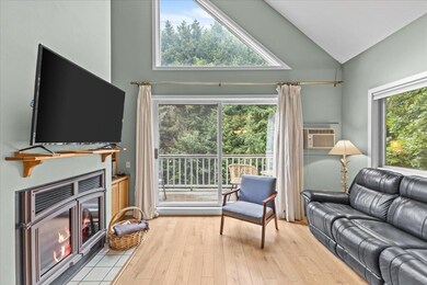 114 S Main St unit F5, Stowe, VT 05672 - photo 4