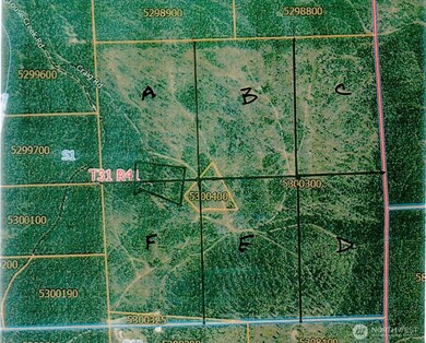 4684 LOT D Grouse Creek Rd, Chewelah, WA 99109 - photo 4