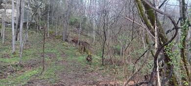 0 Keystone Furnace Rd unit (Keystone Escape), Jackson, OH 45640 - photo 2