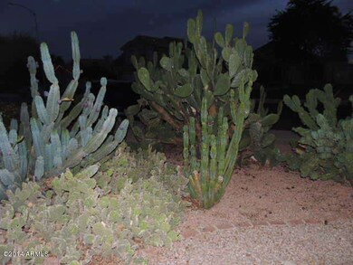 DSCN5376