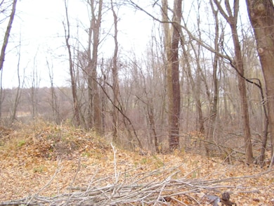 7781 W Hagar Shore Rd, Coloma, MI 49038 - photo 7