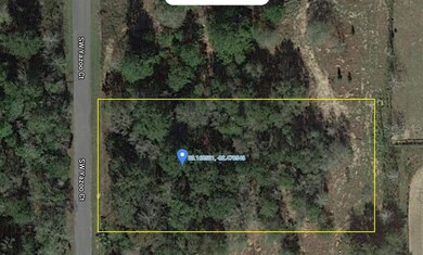 Lot 2 SW Yazoo Ct, Dunnellon, FL 34431 - photo 5