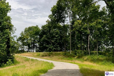 Tract 14 Cook Ln, Cromwell, KY 42333 - photo 3