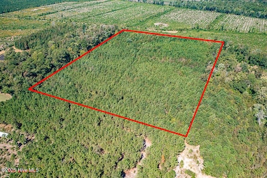 780 Campbell Rd, Vanceboro, NC 28586 - photo 4