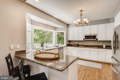 8738 Marburg Manor Dr, Lutherville Timonium, MD 21093 - photo 7