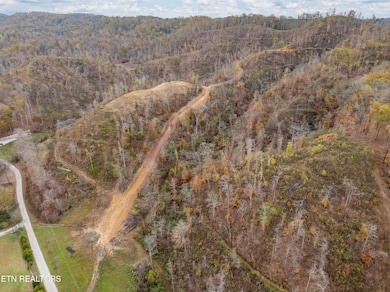 DJI_20241114154136_0141_D-HDR
