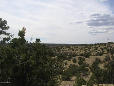 Swenson 40 acres 008.JPG