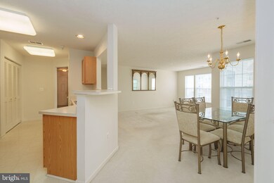 19 Brook Farm Ct unit E, Perry Hall, MD 21128 - photo 4