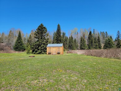 View of yard featuring a shed