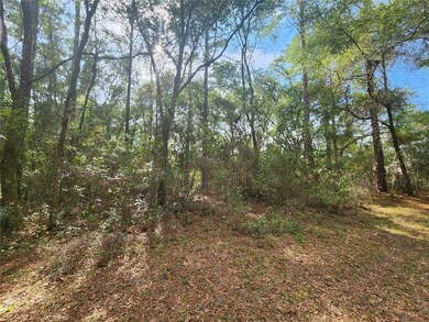 4428 N Forest Lake Dr, Hernando, FL 34442 - photo 4