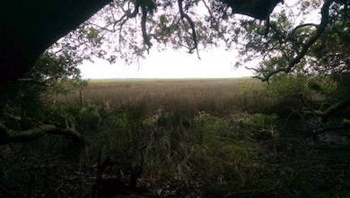 2780 Lawrence Rd, Saint Simons Island, GA 31522 - photo 3