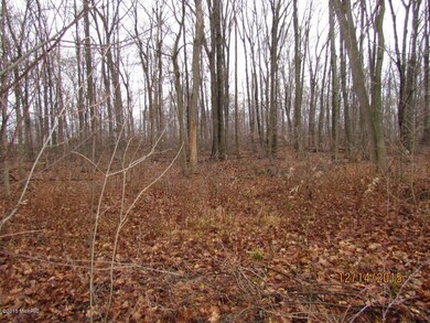 7966 Kruger Rd, Three Oaks, MI 49128 - photo 3