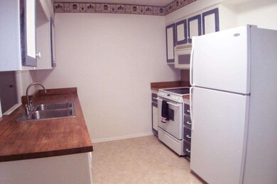 11006 W Santa fe Dr, Sun City, AZ 85351 - photo 3