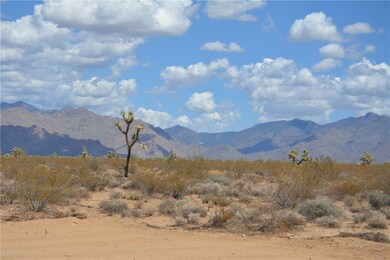 Lot P6A Suzette Rd, Yucca, AZ 86438 - photo 6