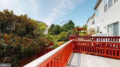 13615 Red Squirrel Way, Herndon, VA 20171 - photo 5