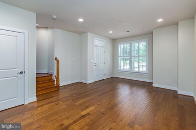 2308 Potomac Ave unit 101, Alexandria, VA 22301 - photo 3