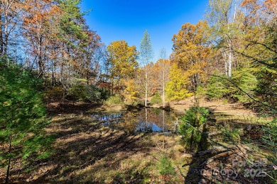 671 Island Hollow Rd, Hot Springs, NC 28743 - photo 3