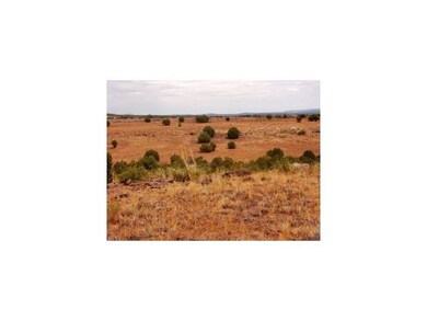 61 Juniperwood Ranch, Ash Fork, AZ 86320 - photo 4