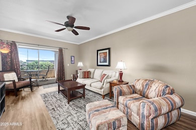 Living Room 1