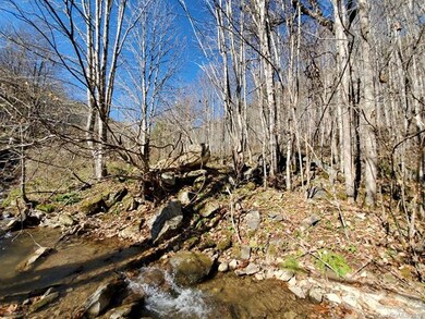 999 Scronce Creek Rd, Cane River, NC 28714 - photo 5