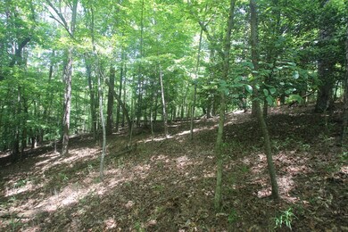 Lt 2628 Garnet Dr, Ellijay, GA 30540 - photo 5