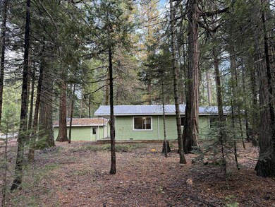 view through trees, highway on left side