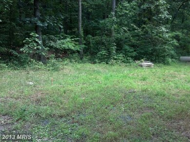 0 Chimney Cir unit 1003681460, Middletown, VA 22645 - photo 4