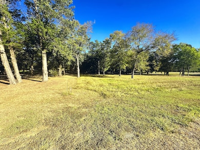Lot 65 Sombrilla Ln, Kerens, TX 75144 - photo 6