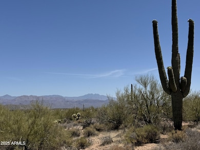 Mountain and Saguaro Views