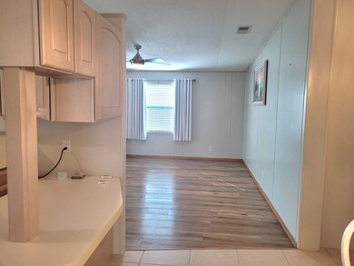 6233 Forest Lake Dr unit 334, Zephyrhills, FL 33540 - photo 5