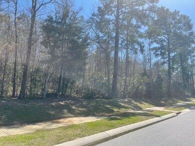 00 Highway 52, Moncks Corner, SC 29461 - photo 2