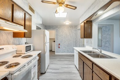 13218 N 108th Dr, Sun City, AZ 85351 - photo 5