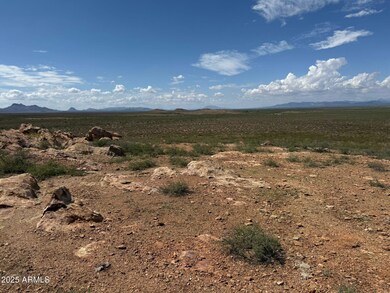 96f0521b-c176-4e04-b2cd-f991385bde0d 2