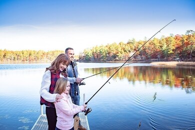 6 Cranberry Farm Rd, Plymouth, MA 02360 - photo 7