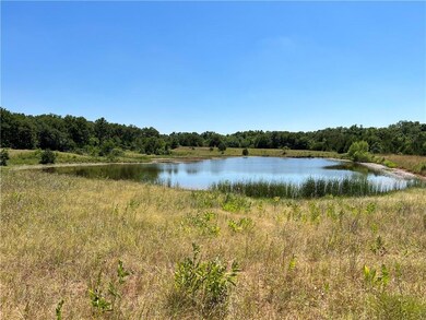 Pond #1