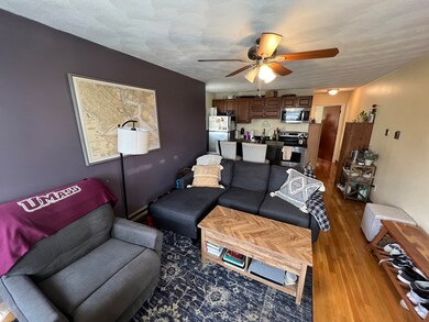 217 Holland St unit 2B, Somerville, MA 02144 - photo 6