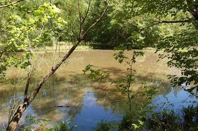 414 Laurel Falls Cove, Eads, TN 38028 - photo 3