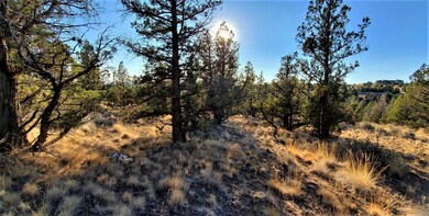 2330 SE Texas Cir, Prineville, OR 97754 - photo 5