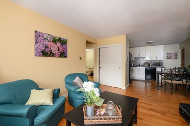 259 Summer St unit 4, Somerville, MA 02143 - photo 3
