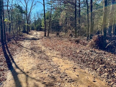 Tbd unit LotWP001, Natural Dam, AR 72948 - photo 3